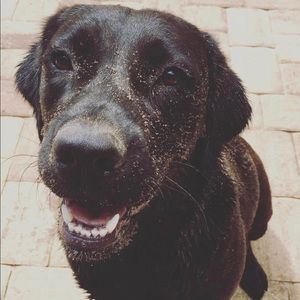 Meet your Posher, Kendall